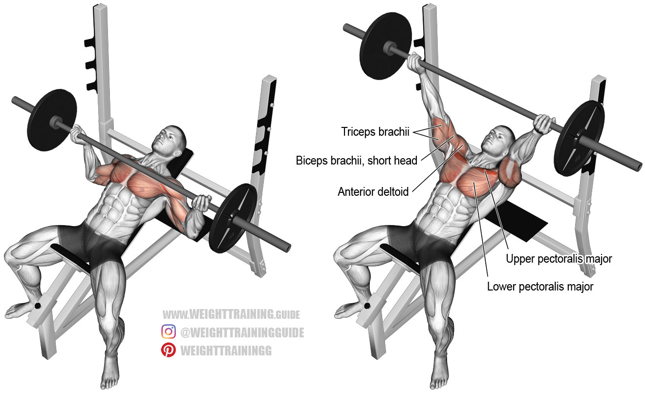 Incline-Reverse-Grip-Barbell-Bench-Press